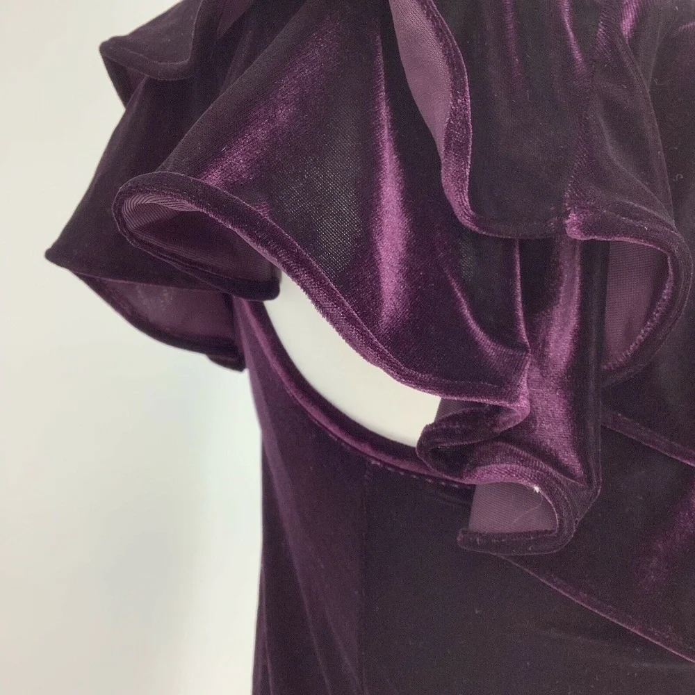 MISA LOS ANGELES Agus One-Shoulder Velvet Top Plum - Picture 7 of 8